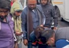 मीरगंज सड़क हादसे ने छीन ली एक और जिंदगी