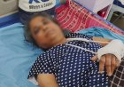 आवारा गायों के झुंड ने महिला पर किया हमला, हाथ-पैर में फ्रैक्चर