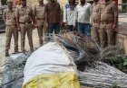 ट्यूबवेलों से बिजली के तार चोरी, किसान परेशान