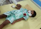 आवारा कुत्ते के हमले में डेढ़ वर्षीय मासूम गंभीर घायल