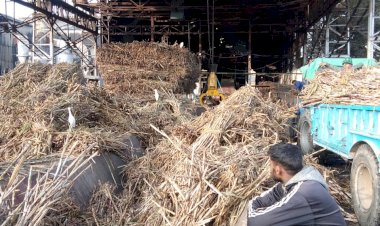 अब बायरल की खामी से सेमीखेडा चीनी मिल पूरी तरह हुई ठप, मिल प्रबंधन ने किसानों से मिले यार्ड में 18 घंटे तक गन्ना न लाने को कहा, जाने मामला