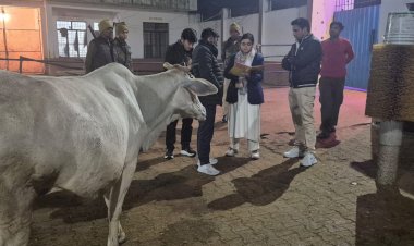 गौशाला में गायों के ठंड के बचाव के नही मिले पुख्ता इंतज़ाम, ठंडी जमीन पर आराम करती गाय, एसडीएम ने ईओ को नोटिस भेज जवाब मांगा