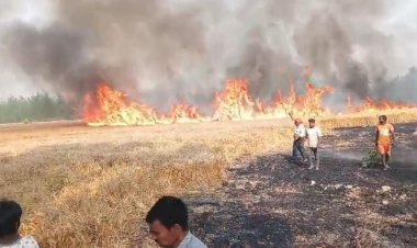 Bareilly Breaking: पकी फसल पर आग ने फेरा पानी, 40 बीघा गेहूं जलकर खाक
