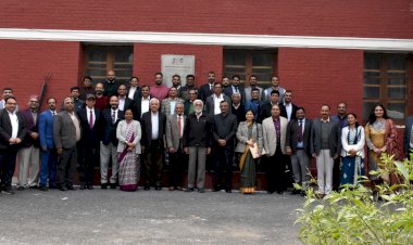 भैंस,भारत की ब्लैक गोल्ड