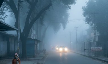 भीषण सर्दी का कहर