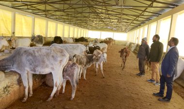 मीरगंज कान्हा गौशाला चिटौली का एसडीएम ने किया औचक निरीक्षण