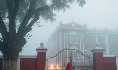 कोहरे और ठंड का कहर