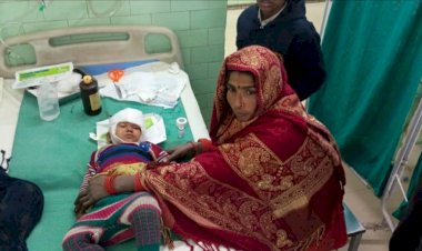 मनकरी गांव में आवारा कुत्ते का आतंक