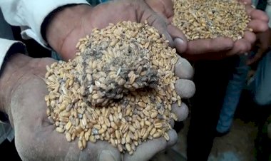 गरीबों के राशन से खिलवाड़