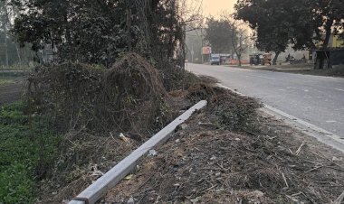 33 केवी लाइन का खंभा टूटा, शाही हाईडल क्षेत्र की बिजली बाधित