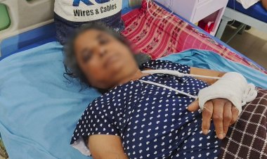 आवारा गायों के झुंड ने महिला पर किया हमला, हाथ-पैर में फ्रैक्चर