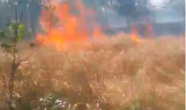 आग में जली मेहनत