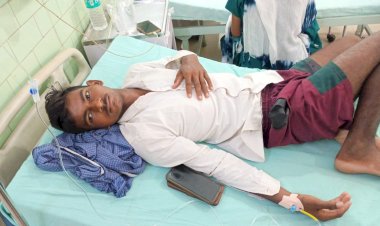 बरेली में सांप के डसने की दो घटनाएं, ग्रामीण और किशोर जिला अस्पताल में भर्ती