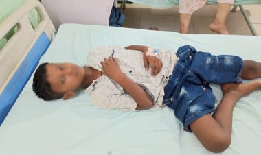 सांप का खेल देखने पहुंचे मासूम को सपेरे के सांप ने डसा, अस्पताल में भर्ती