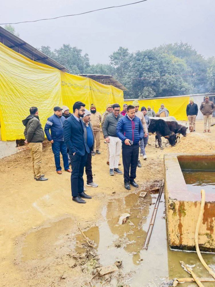 गौशाला में गोवंशों की मौत, मौके पर पहुंचे डीएम, जिम्मेदारों पर की कार्रवाई