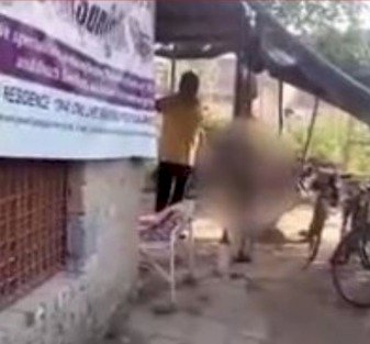 एक फूल की कीमत: 8 साल के बच्चे को नर्सरी मालिक ने दिनभर बांधकर पीटा