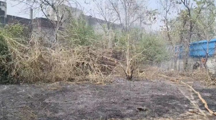 ऐलन क्लब मैदान में सूखी घास ने पकड़ी आग, समय रहते पहुंची फायर ब्रिगेड, बड़ा हादसा टला