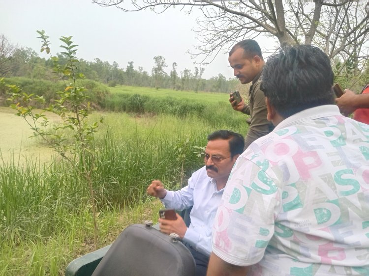 बिजली विभाग अफसर तानाशाही के खिलाफ फूटा जूनियर इंजीनियरों का गुस्सा