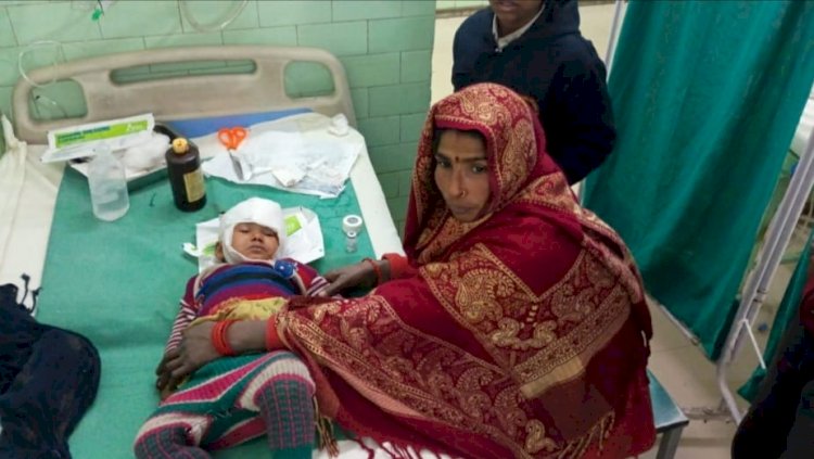 मनकरी गांव में आवारा कुत्ते का आतंक