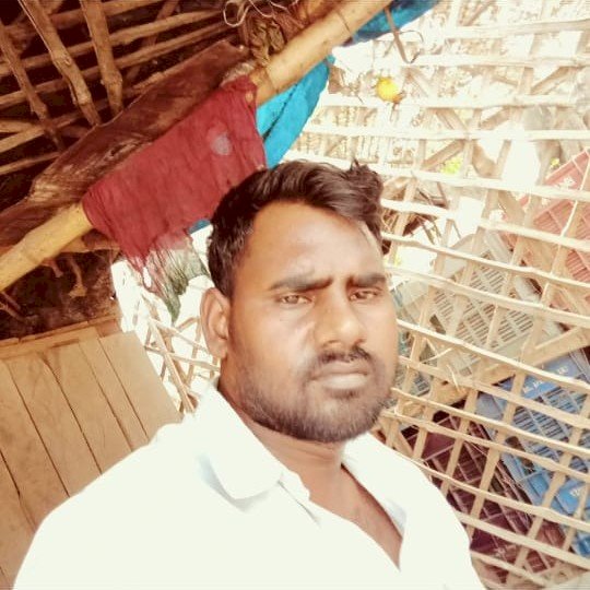 कोहरे में ट्रकों की भिड़ंत, बरेली के ट्रक चालक की मौत