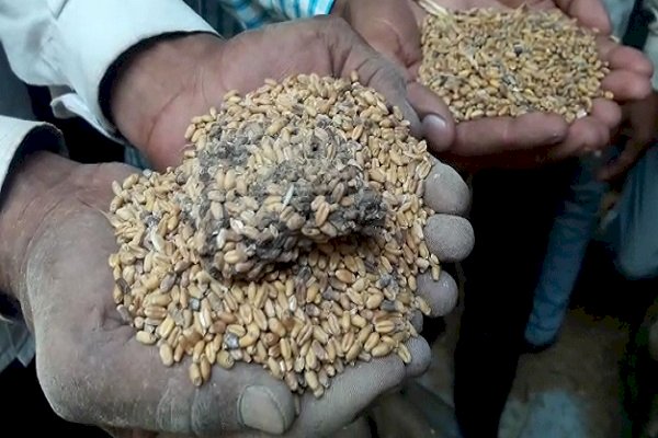 गरीबों के राशन से खिलवाड़