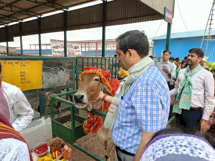 राम नवमी पर डीएम का गौशाला निरीक्षण