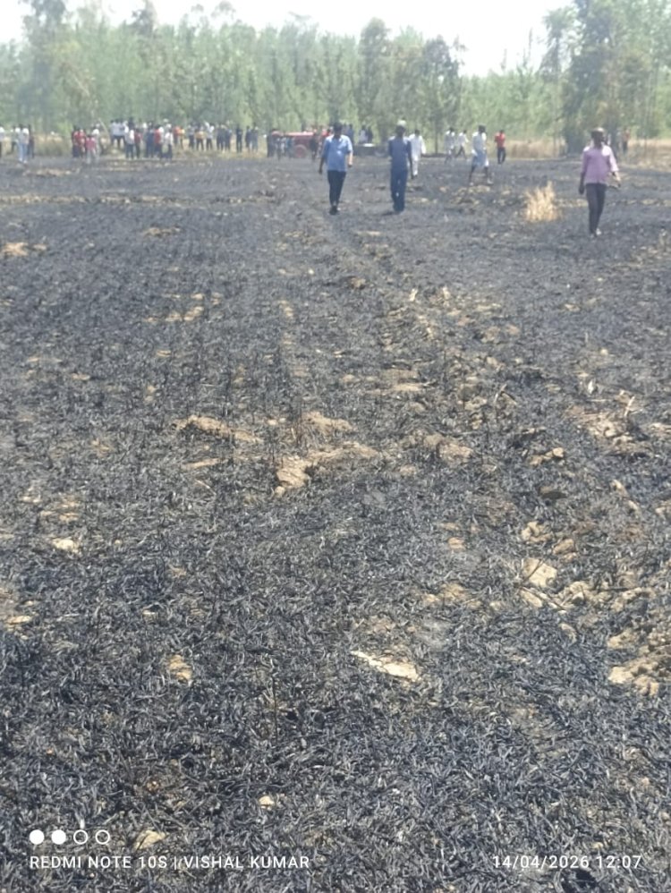 आग में जली मेहनत