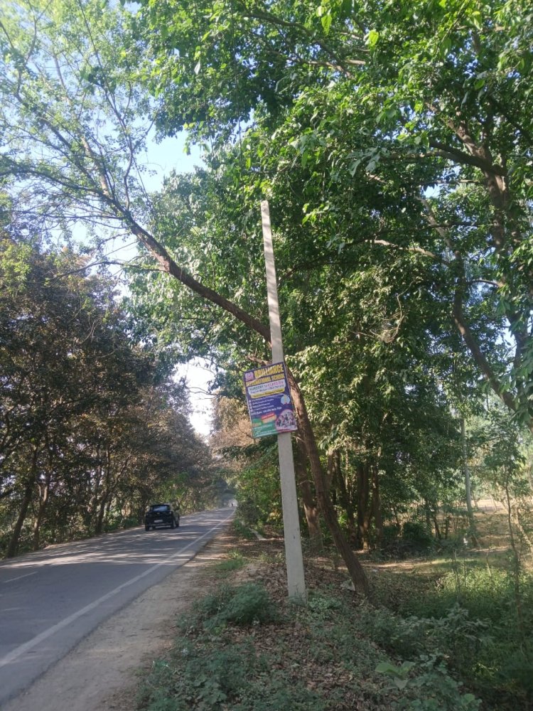 जर्जर बिजली लाइन बनी मौत का खतरा