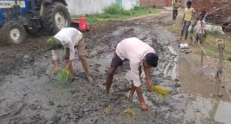 सड़क पर धान रोपकर ग्रामीणों ने जताया विरोध