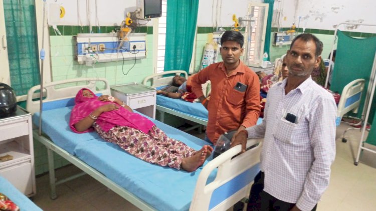 मोबाइल चार्जिंग लगाते समय महिला को सांप ने डसा
