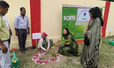 महिला कल्याण संगठन ने किया वृक्षारोपण