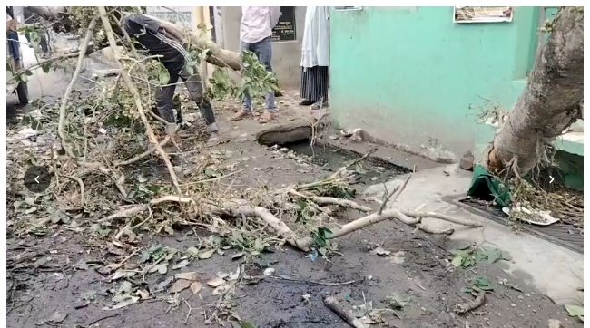 बरेली: पुराने शहर में आंधी-बारिश से भारी तबाही; 11 हजार की लाइन पर गिरा पेड़
